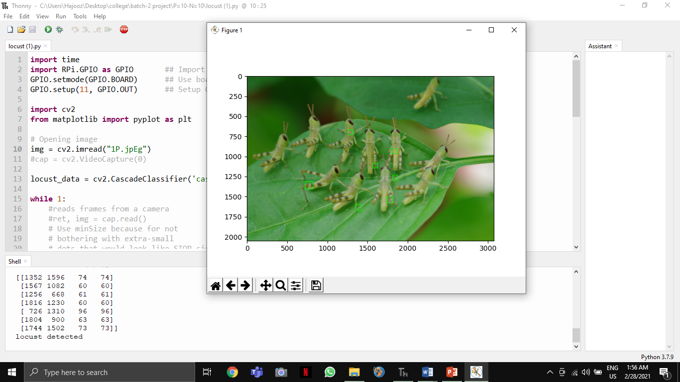 Project 8 Image