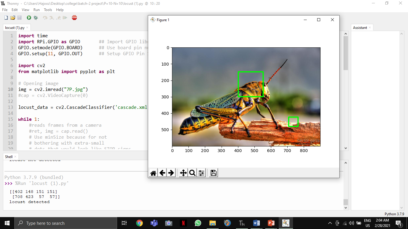 Project 8 Image